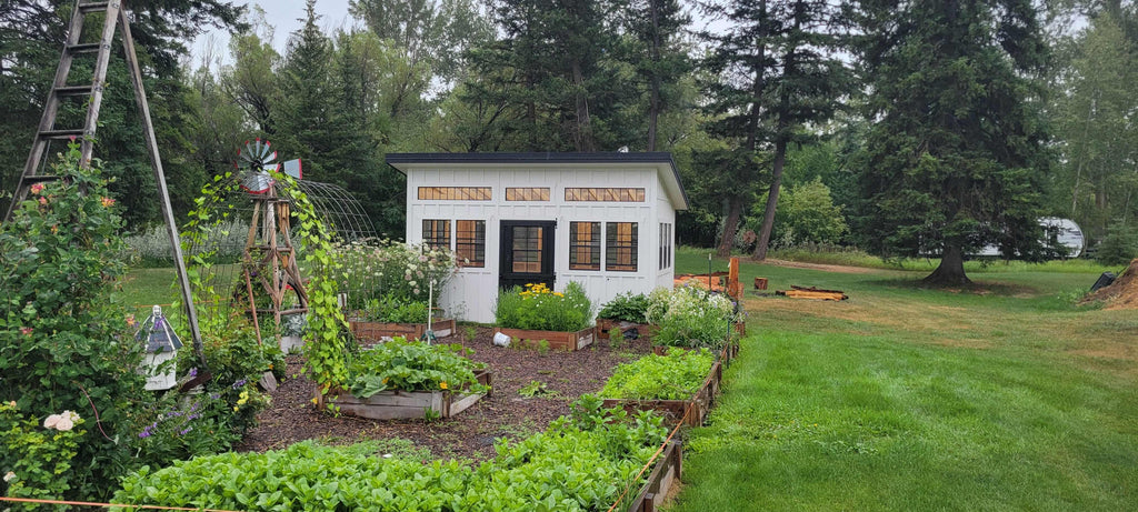Urban Greenhouse